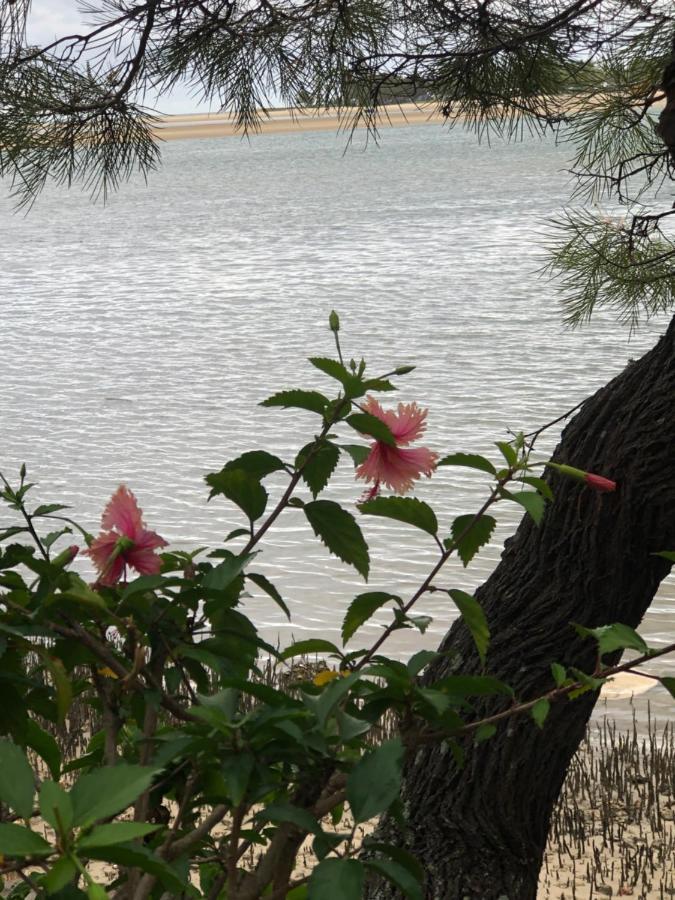 4Shore@Waterfrontplace Maroochydore Eksteriør bilde